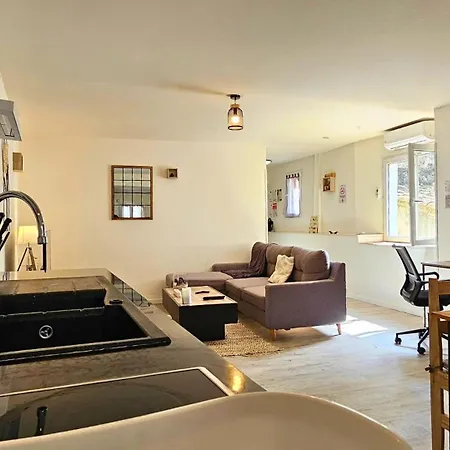 La Remise Des Copains 2 Avec Clim Ockeys * Limoux